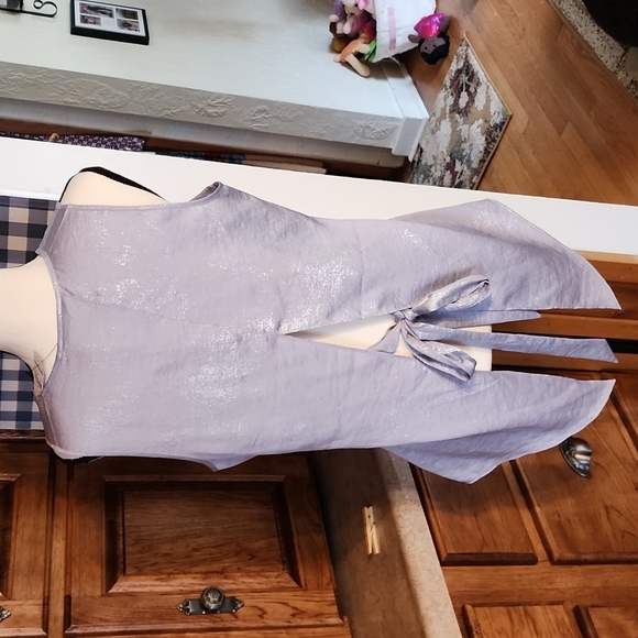 NEW Express Silver Metallic Sleeveless Blouse Size M (NWT) - Picture 7 of 10